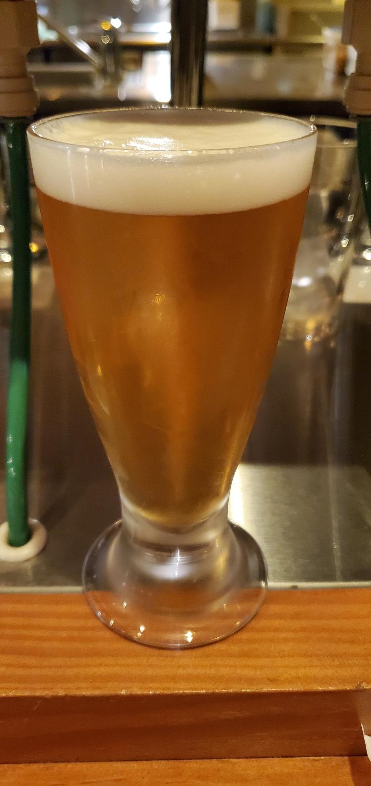 Kiwi IPA