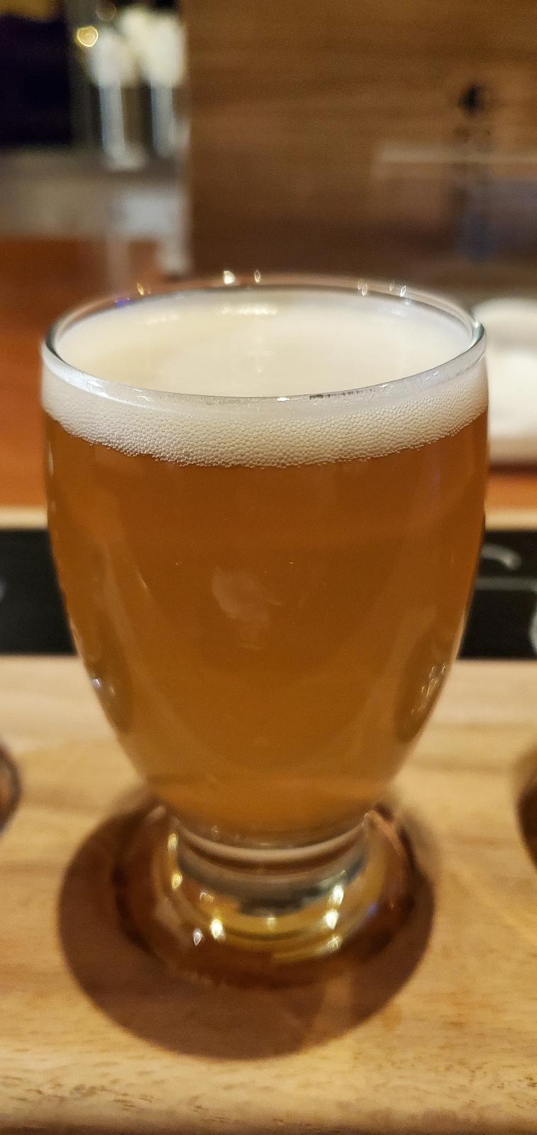 Son of a Plum (Collaboration with Young Master Brewery)