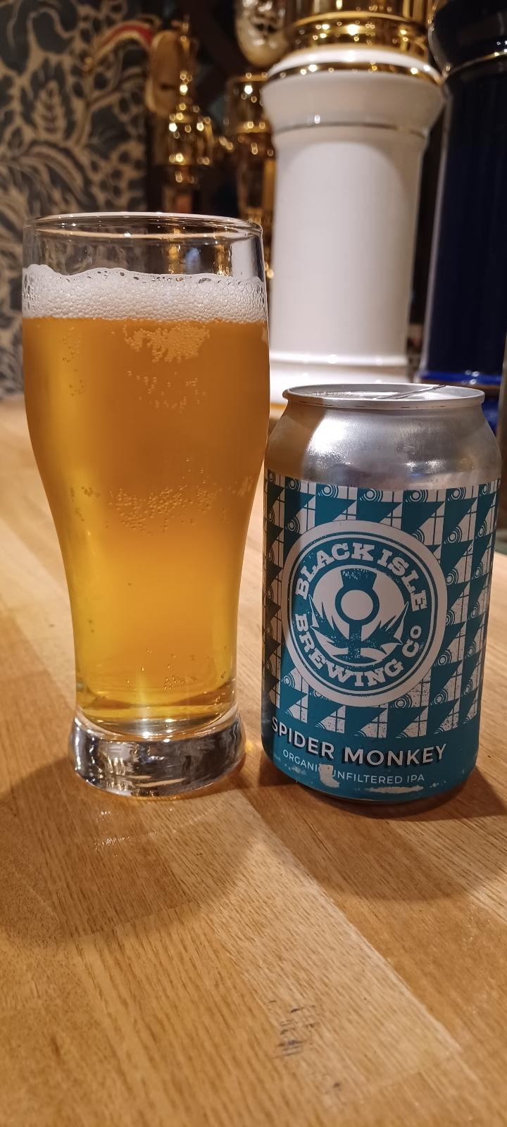 Spider Monkey