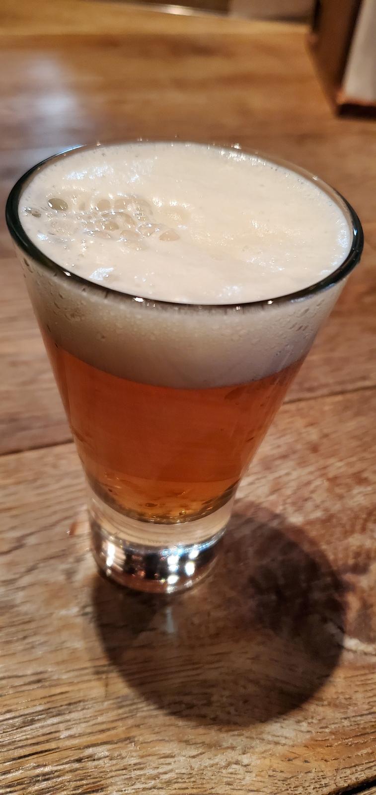 Shonan Beer Triumph