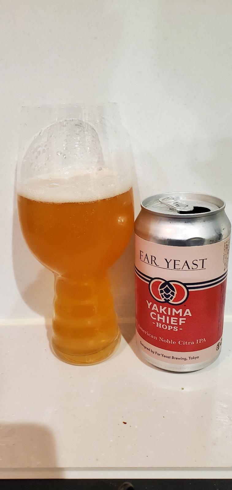 American Noble Citra IPA