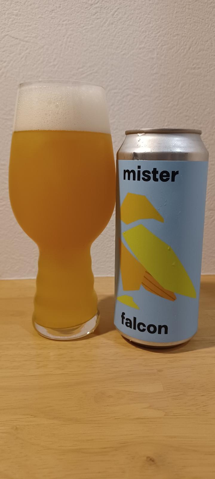Mister Falcon (Collaboration with Barrel Theory)