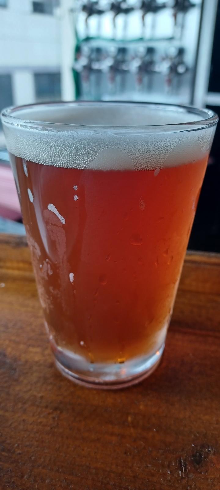 Kawasakey Red Ale