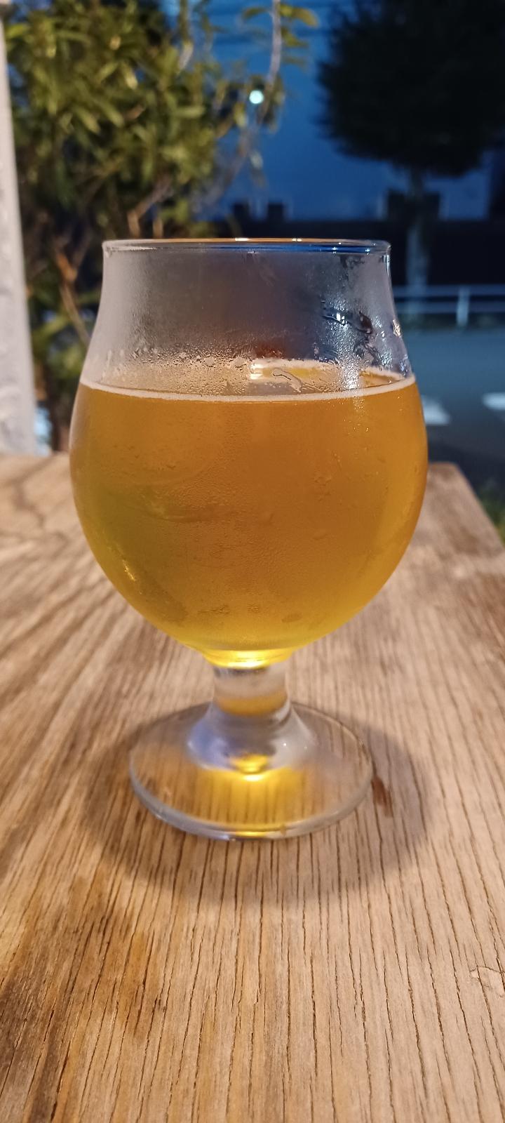 Shonan Beer Fresh Hop IPA (2022)