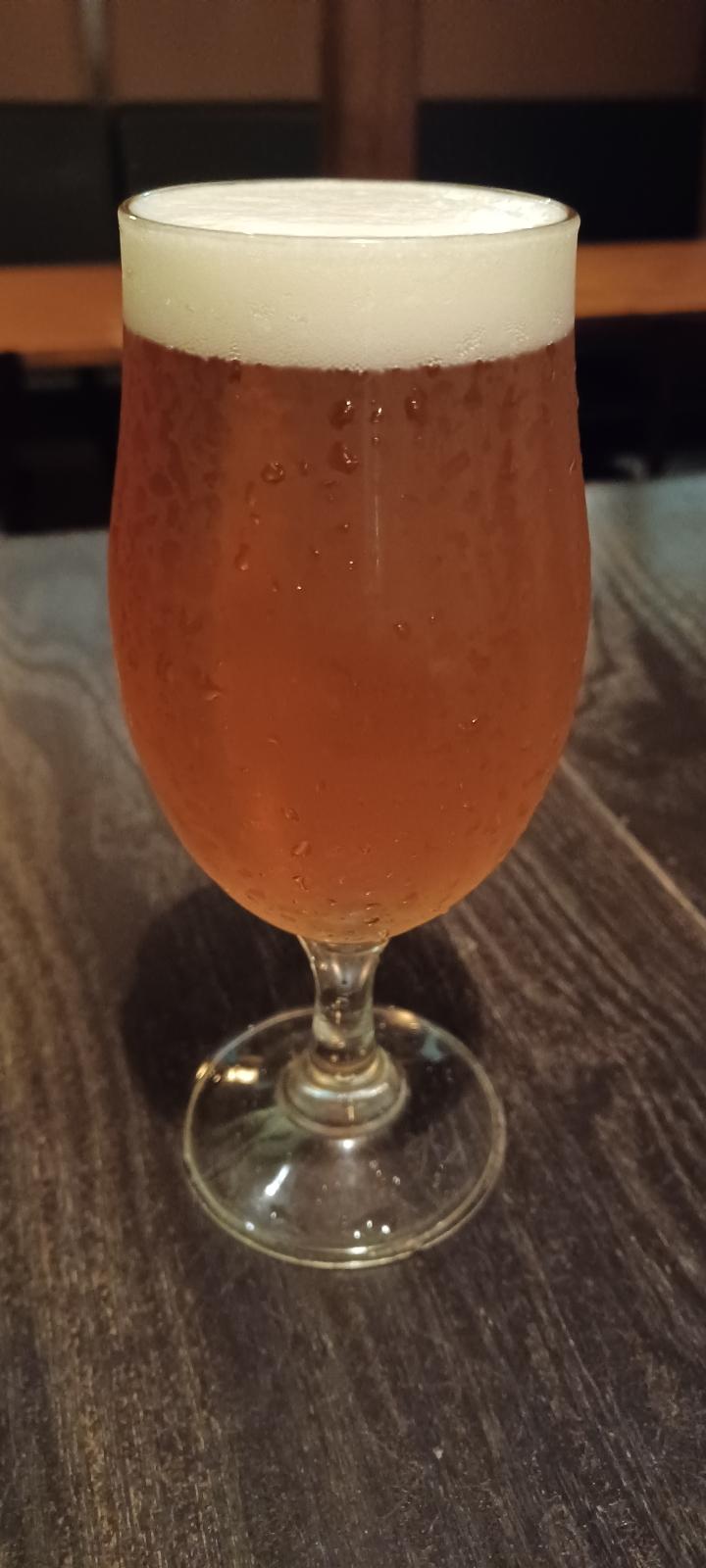 Ise Kadoya Hop Squall