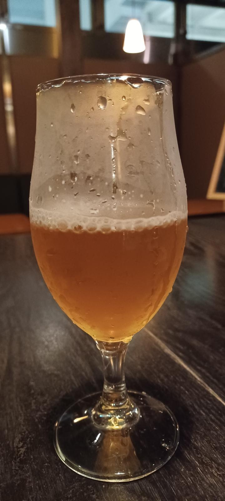 Shichigahama Kaigan IPA