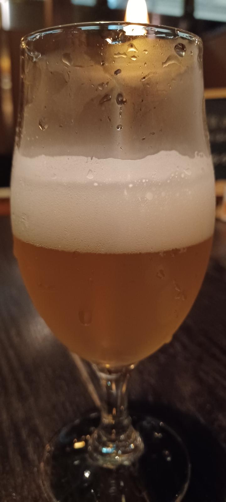 Ise Kadoya New Generation Lager