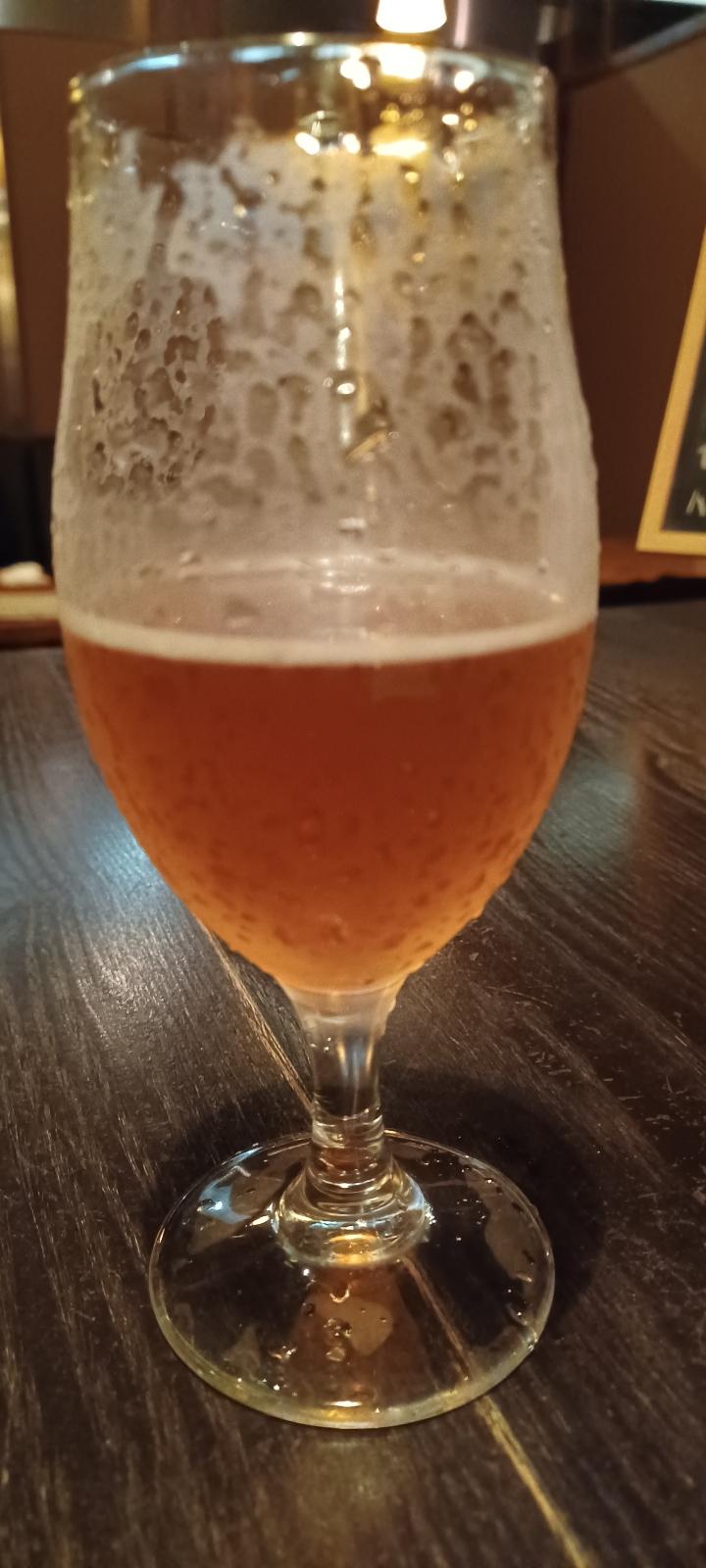 Baeren Pumpkin Ale