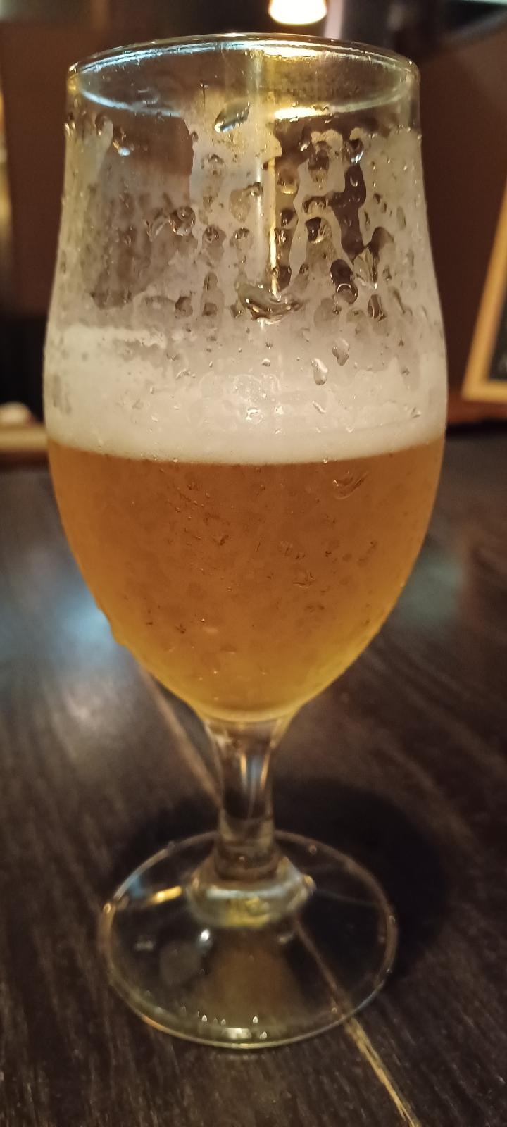 Baeren Fresh Hop Lager