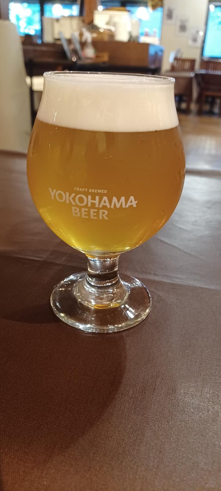 Under the Sky Beer