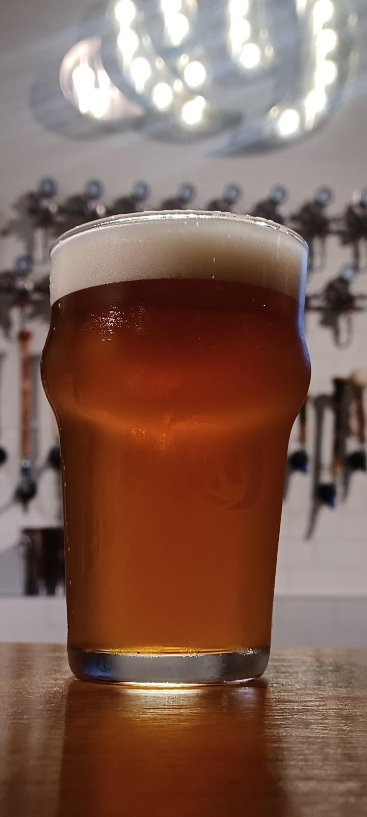 Ogna IPA