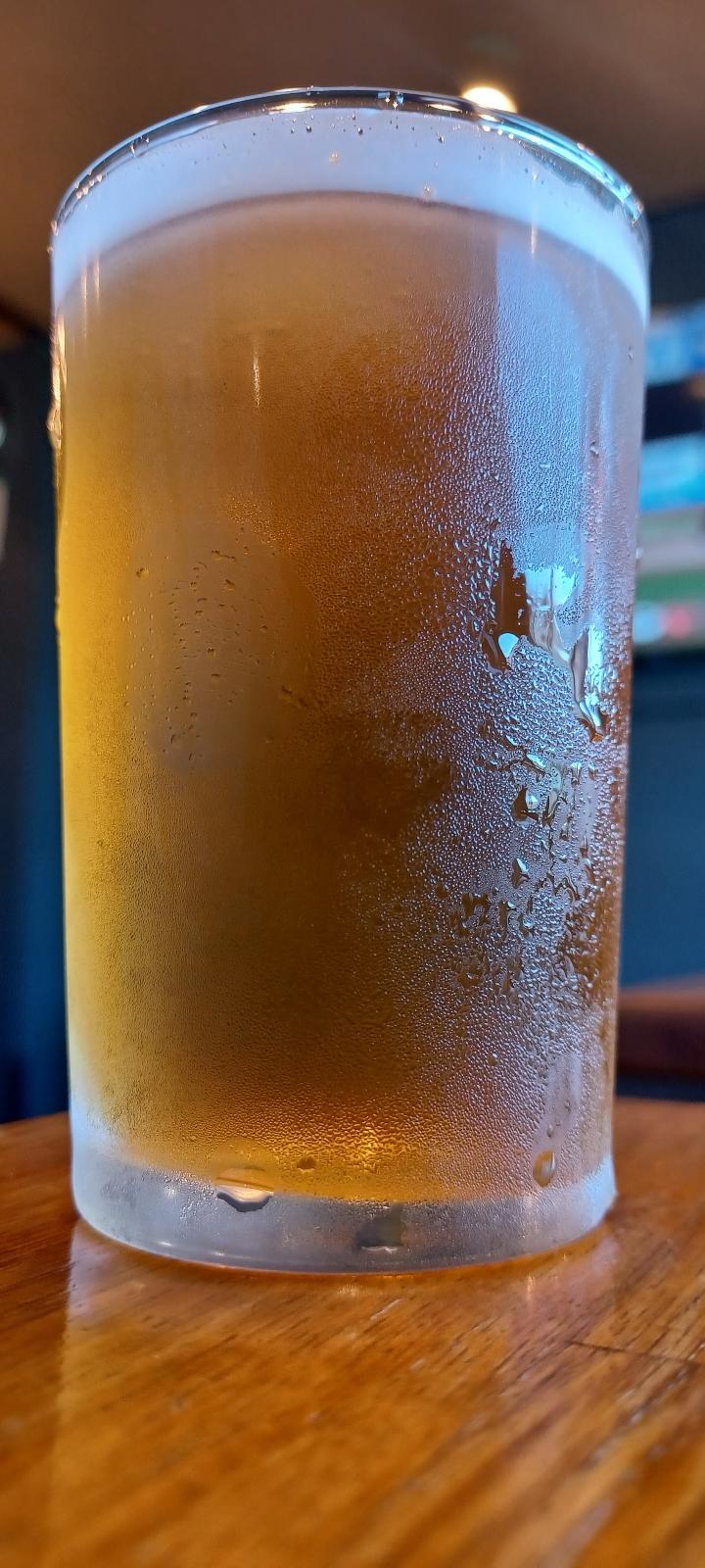 Tenderness IPA