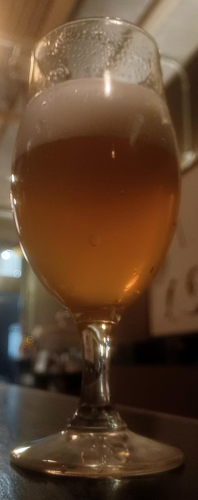 Ise Kadoya Farmhouse IPA Strain BE-2