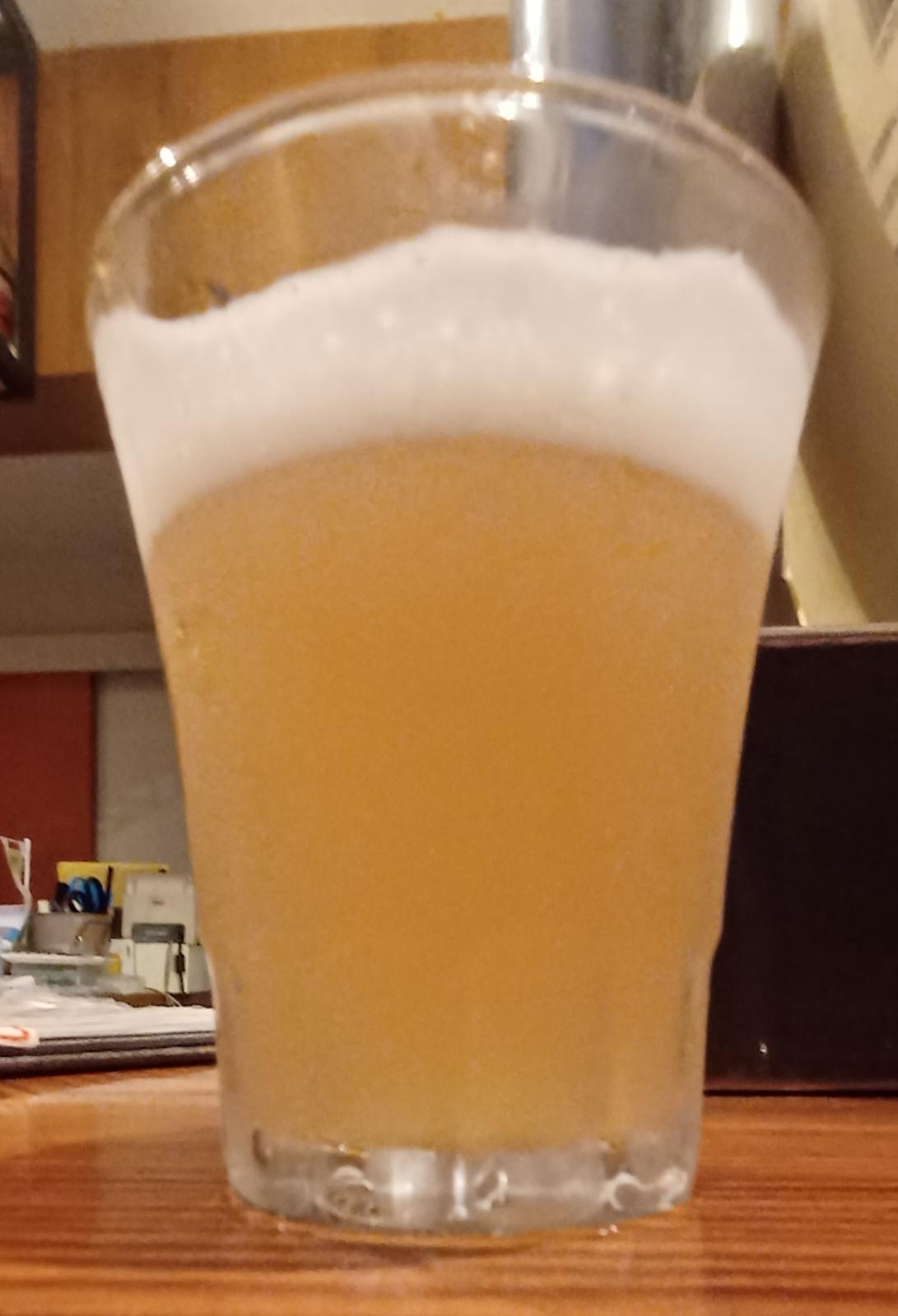 Shimokita Lager