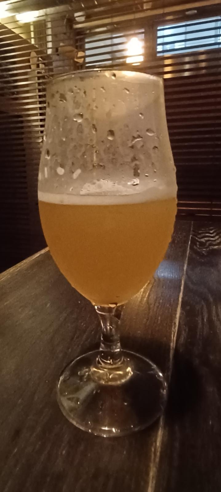 Hansharo Tropical Mix Weizen