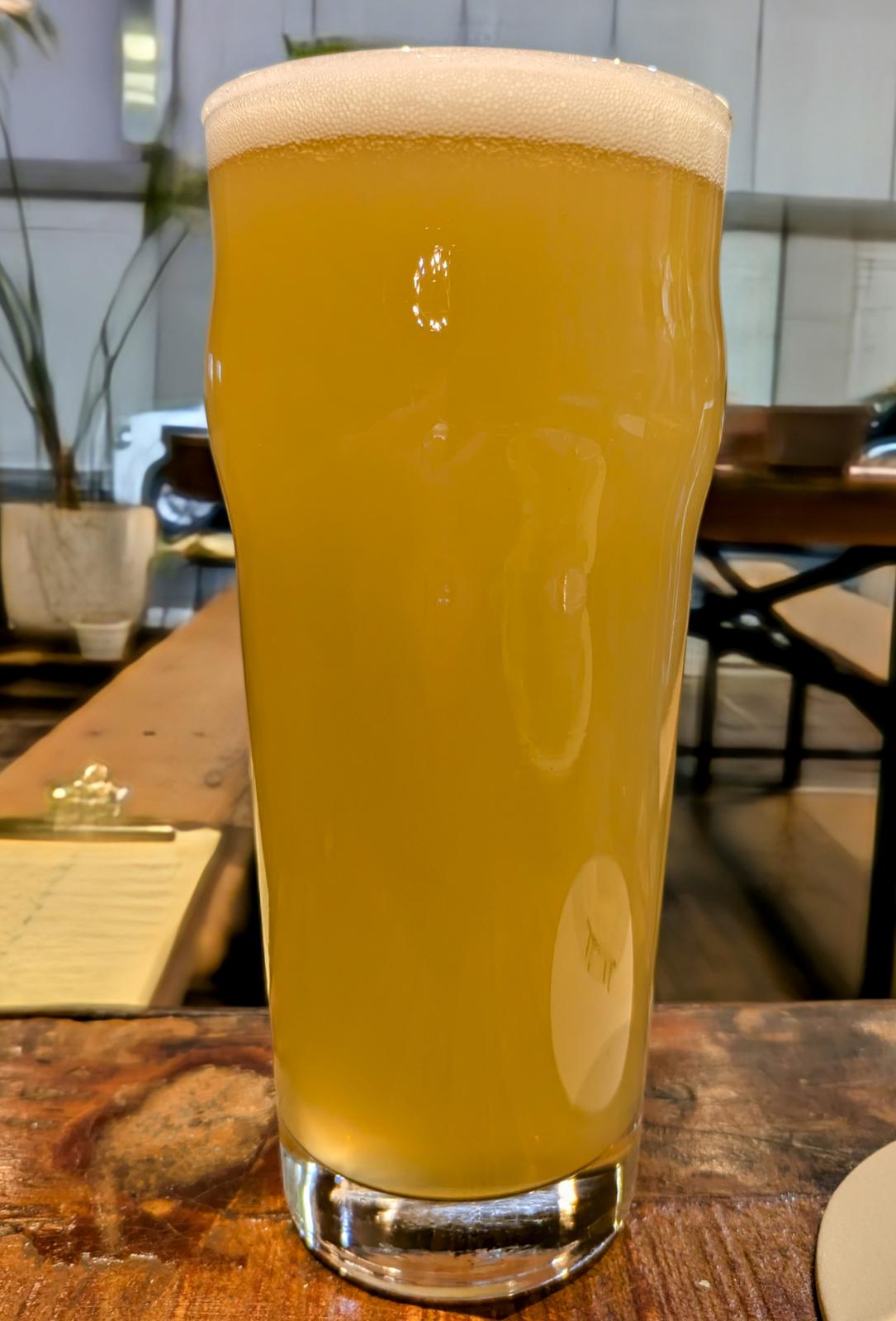 New Zealand IPA
