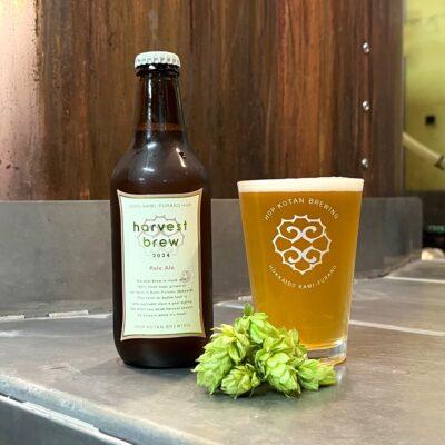 Harvest Brew - Pale Ale (2024)