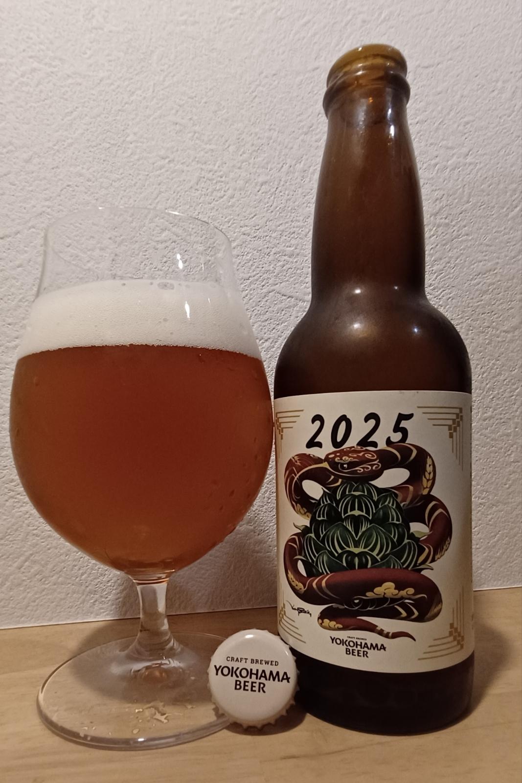 Happy New Year (2025)