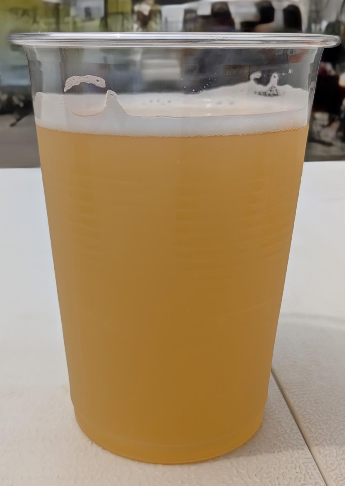 Wakamonotachi no Pale Ale