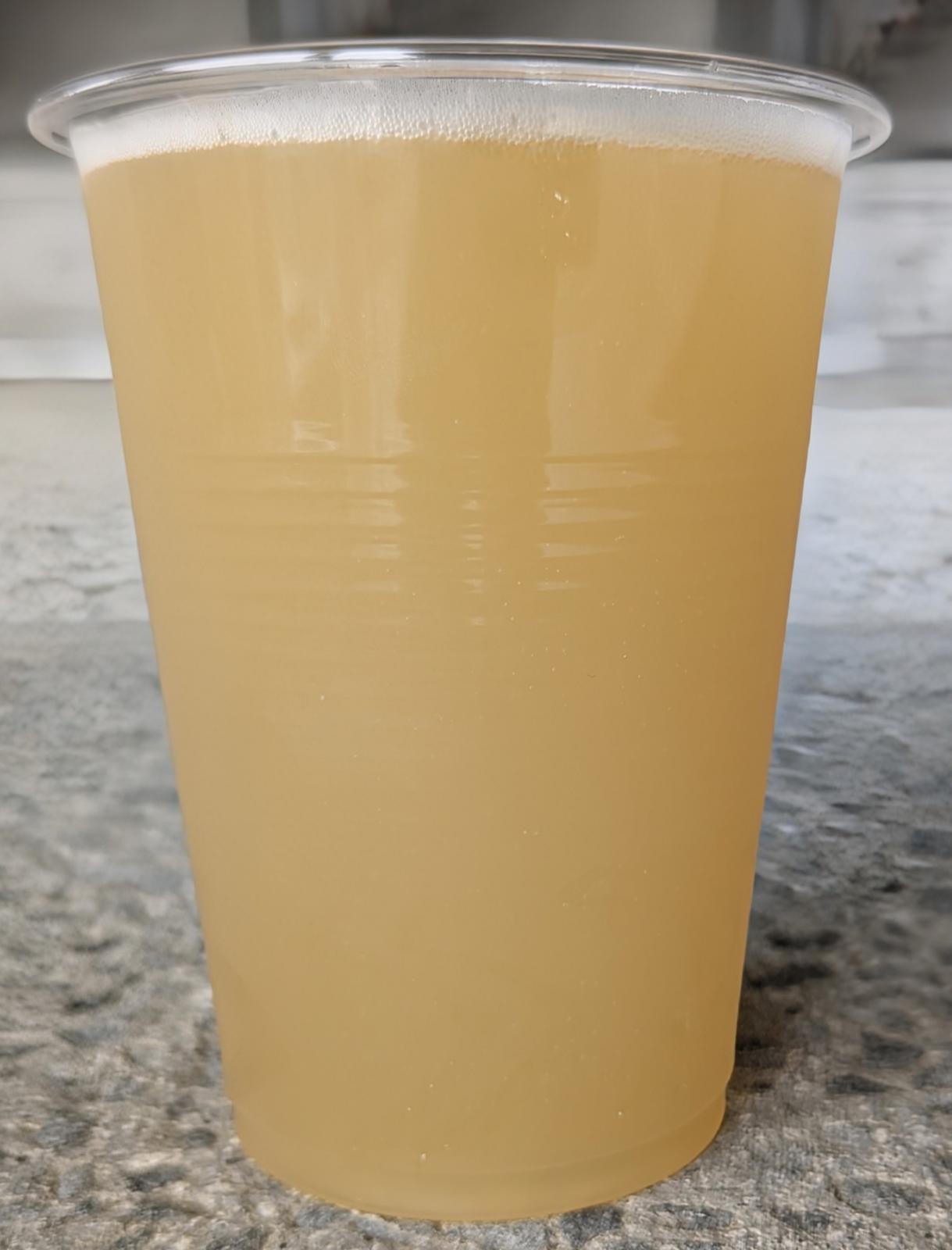 Honjo Golden Ale