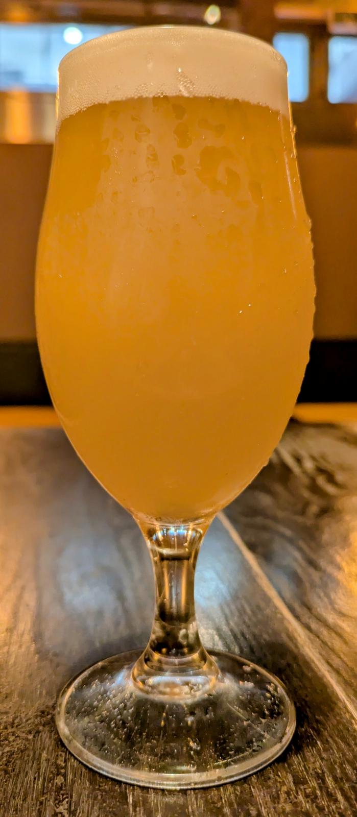 Shonan Beer Hazy IPA - Nacatron