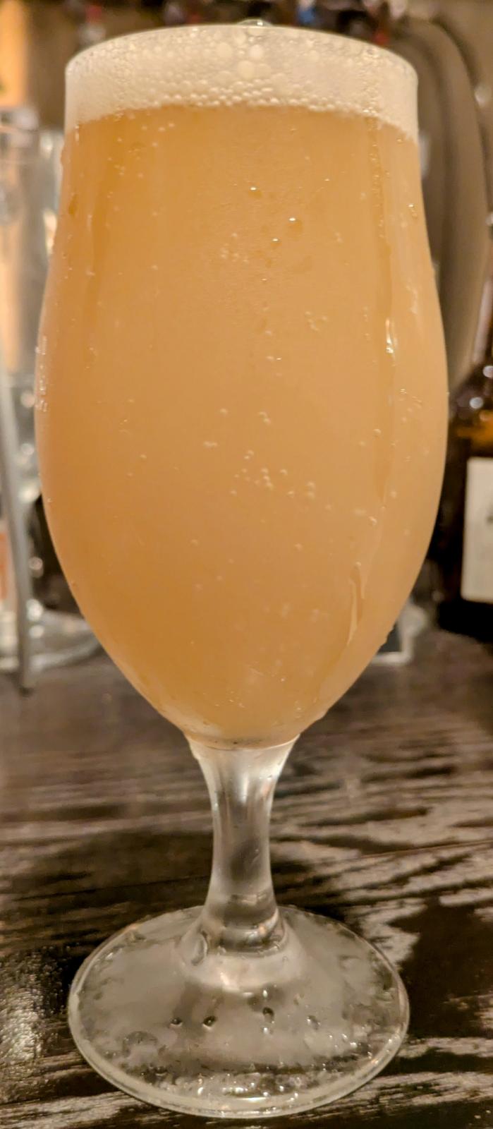 Re-New French IPA