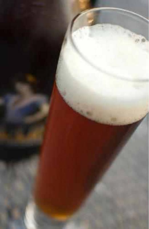 Vienna Lager 