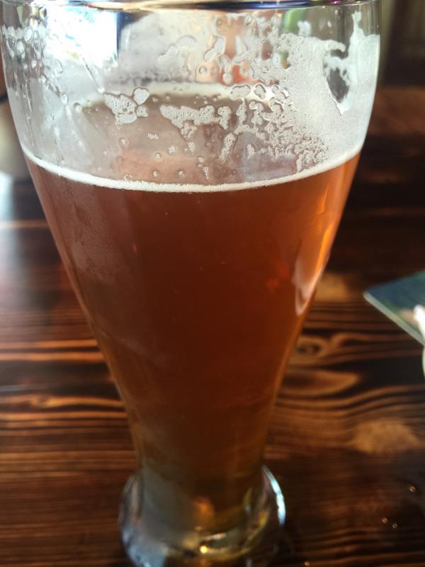 Andromeda IPA