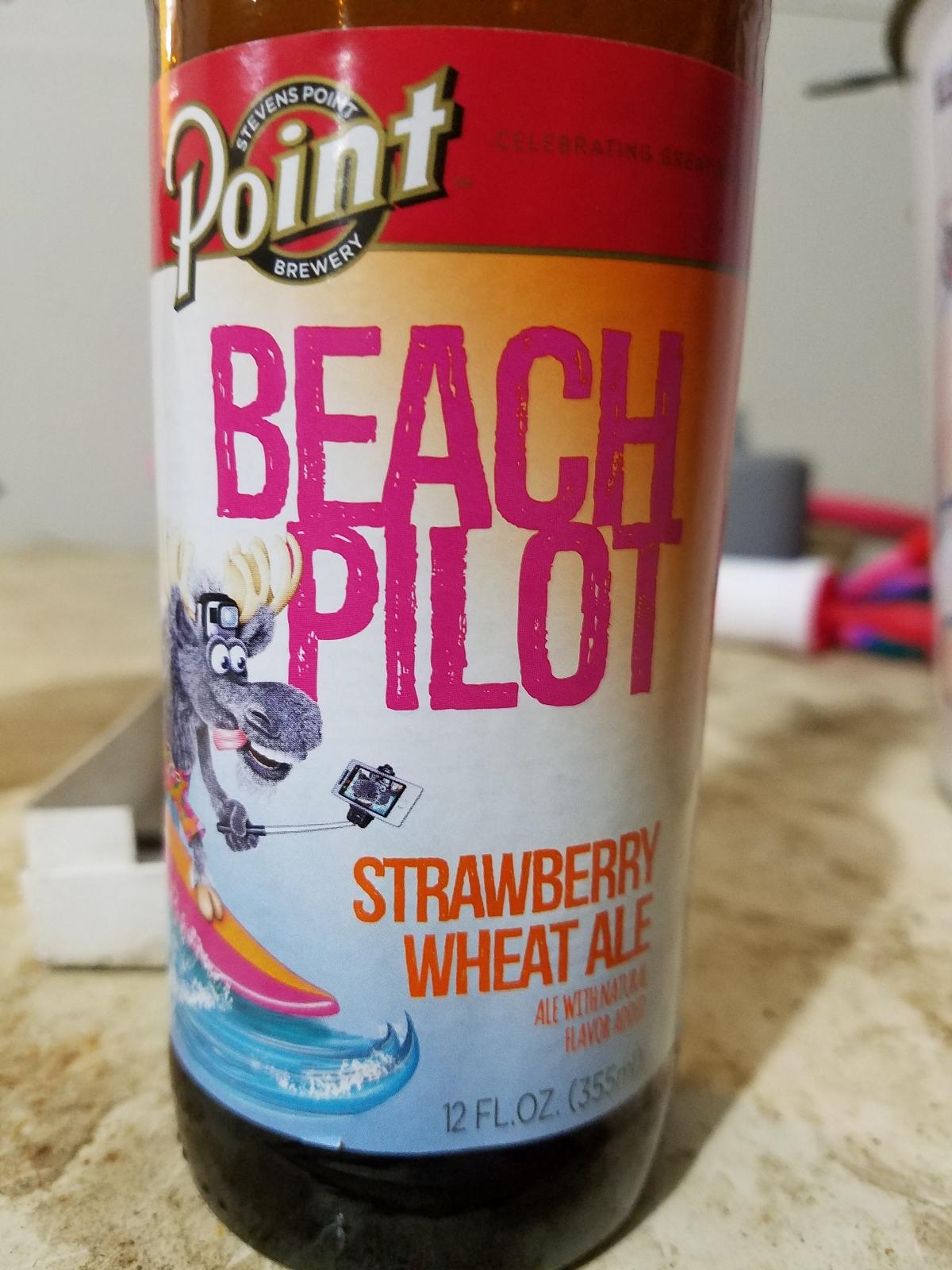 Beach Pilot