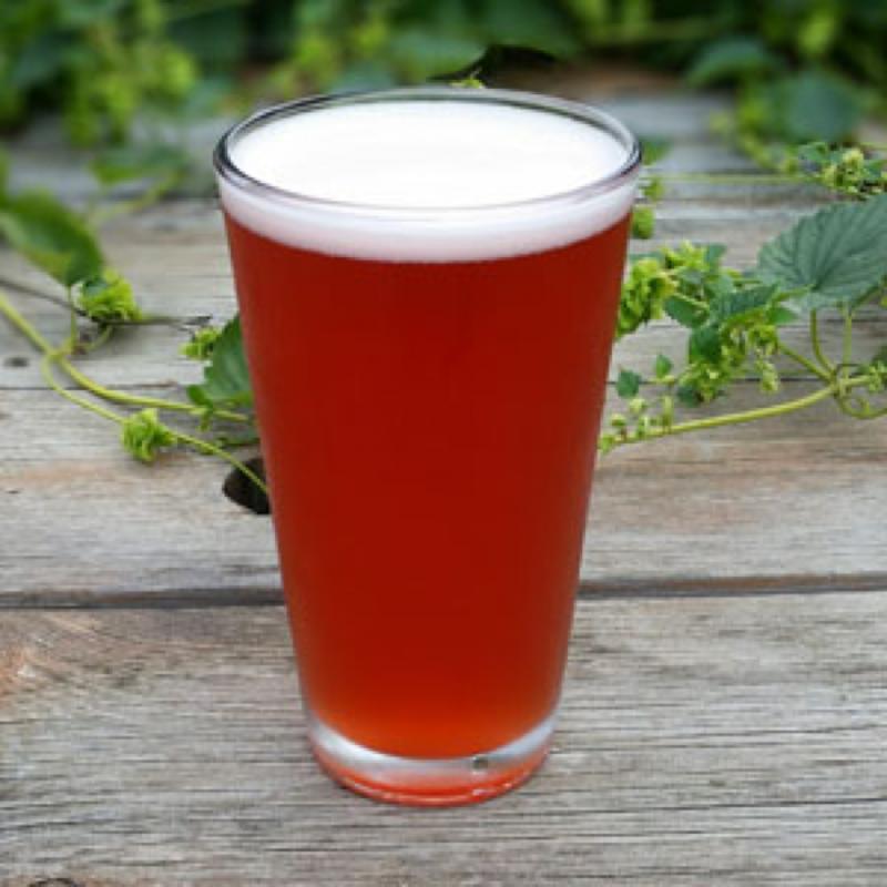 Cinnamon Red Velvet Creme Ale