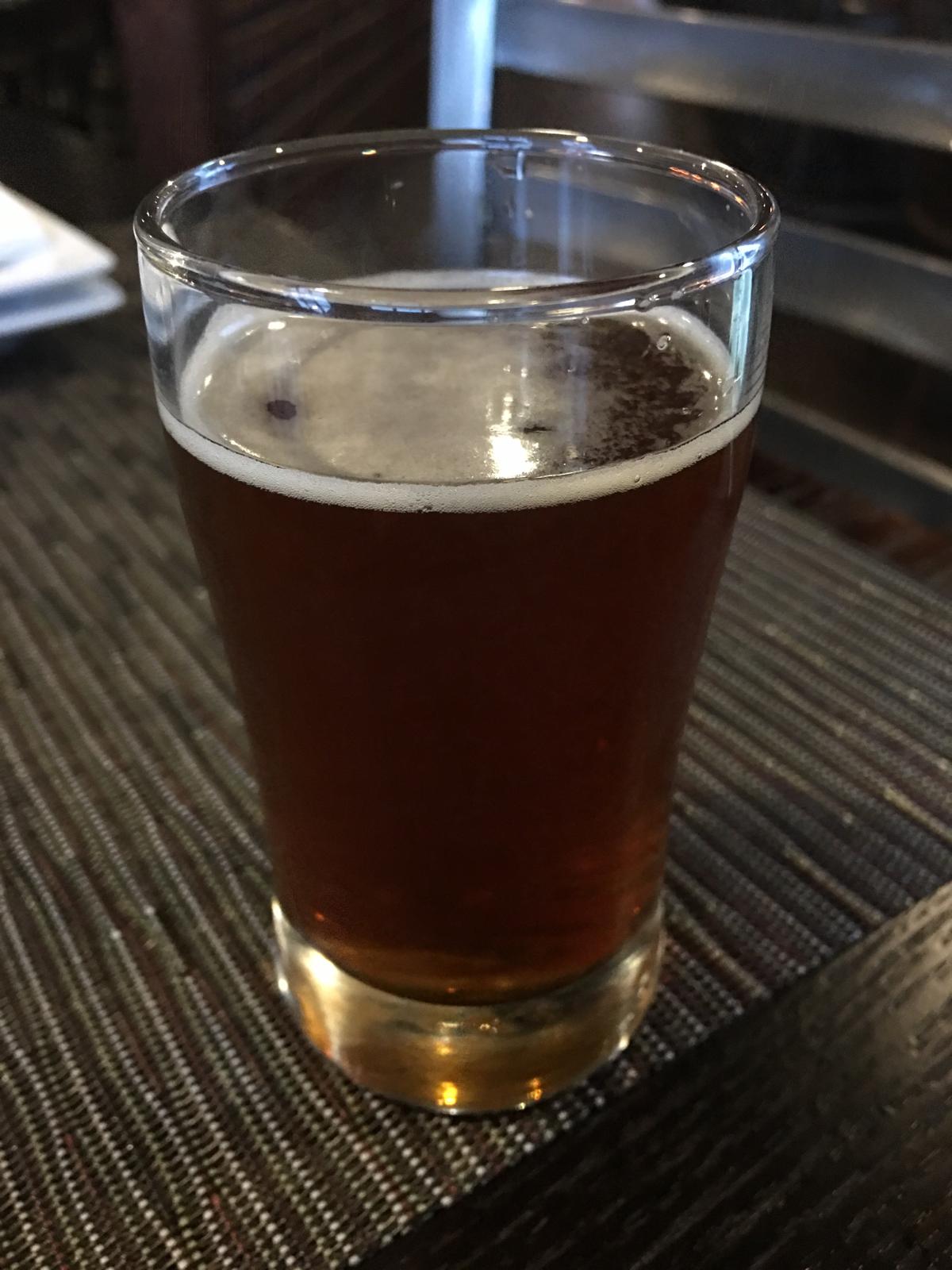 Fest Amber Lager