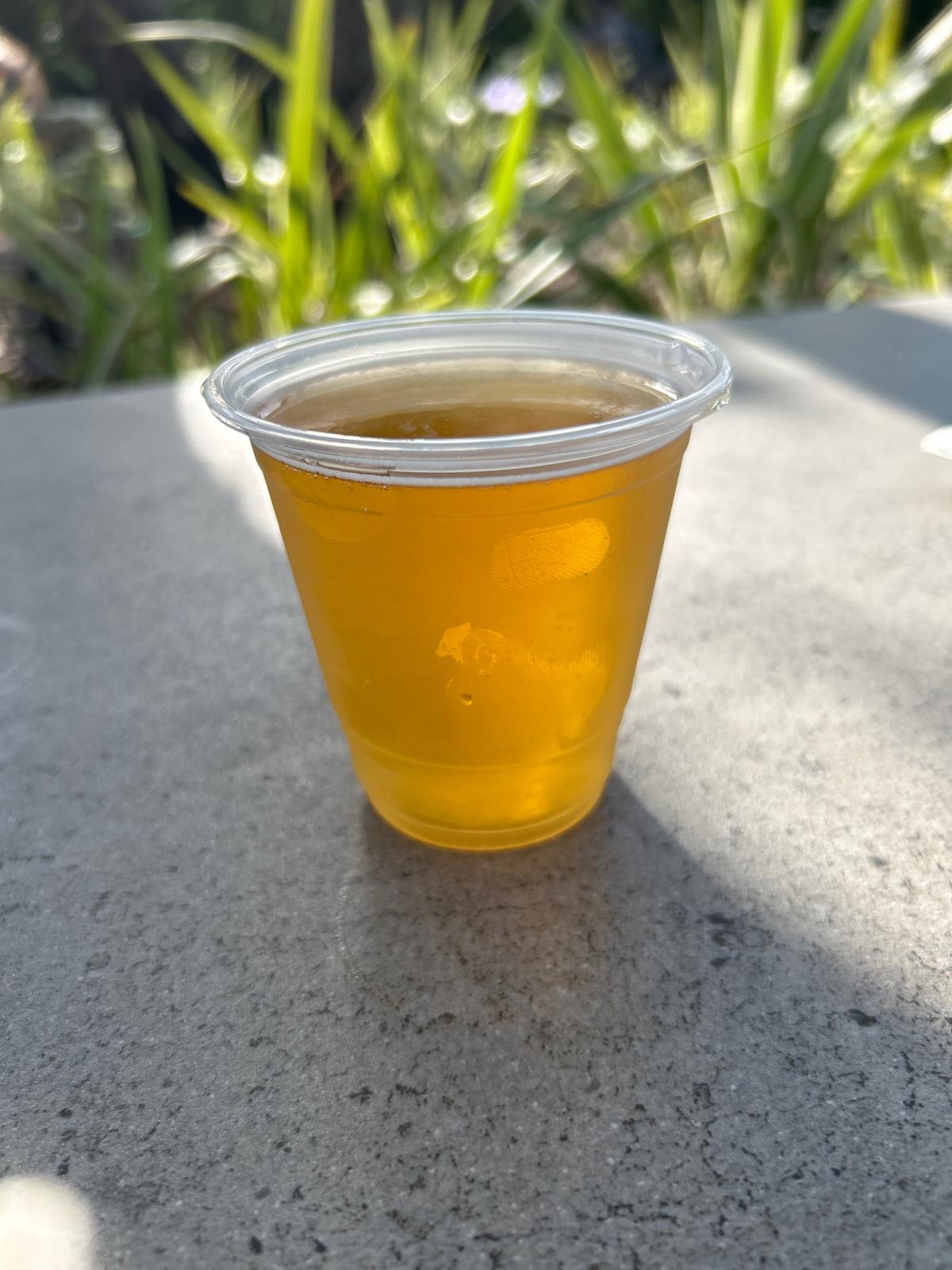Starlight Papaya Pilsner