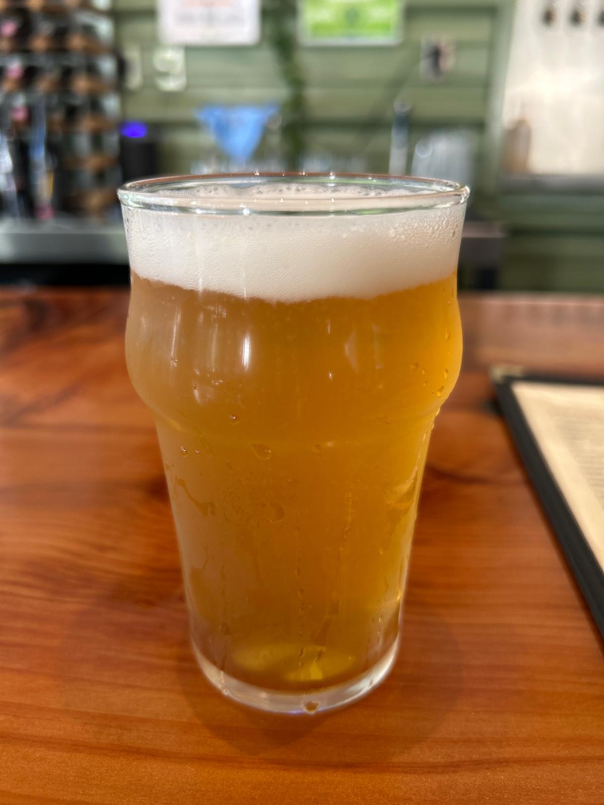 Festbier