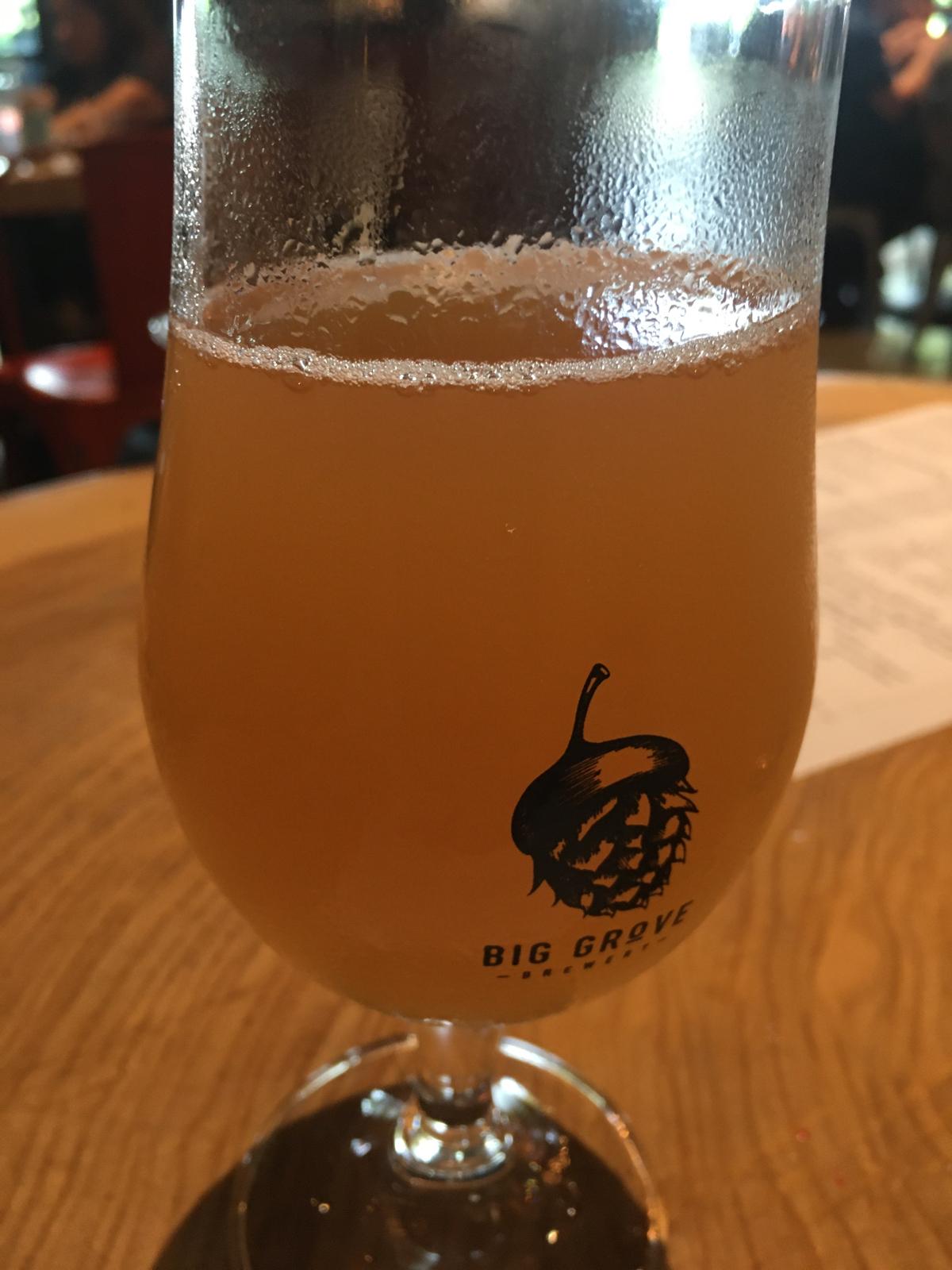 Grapefruit Gose