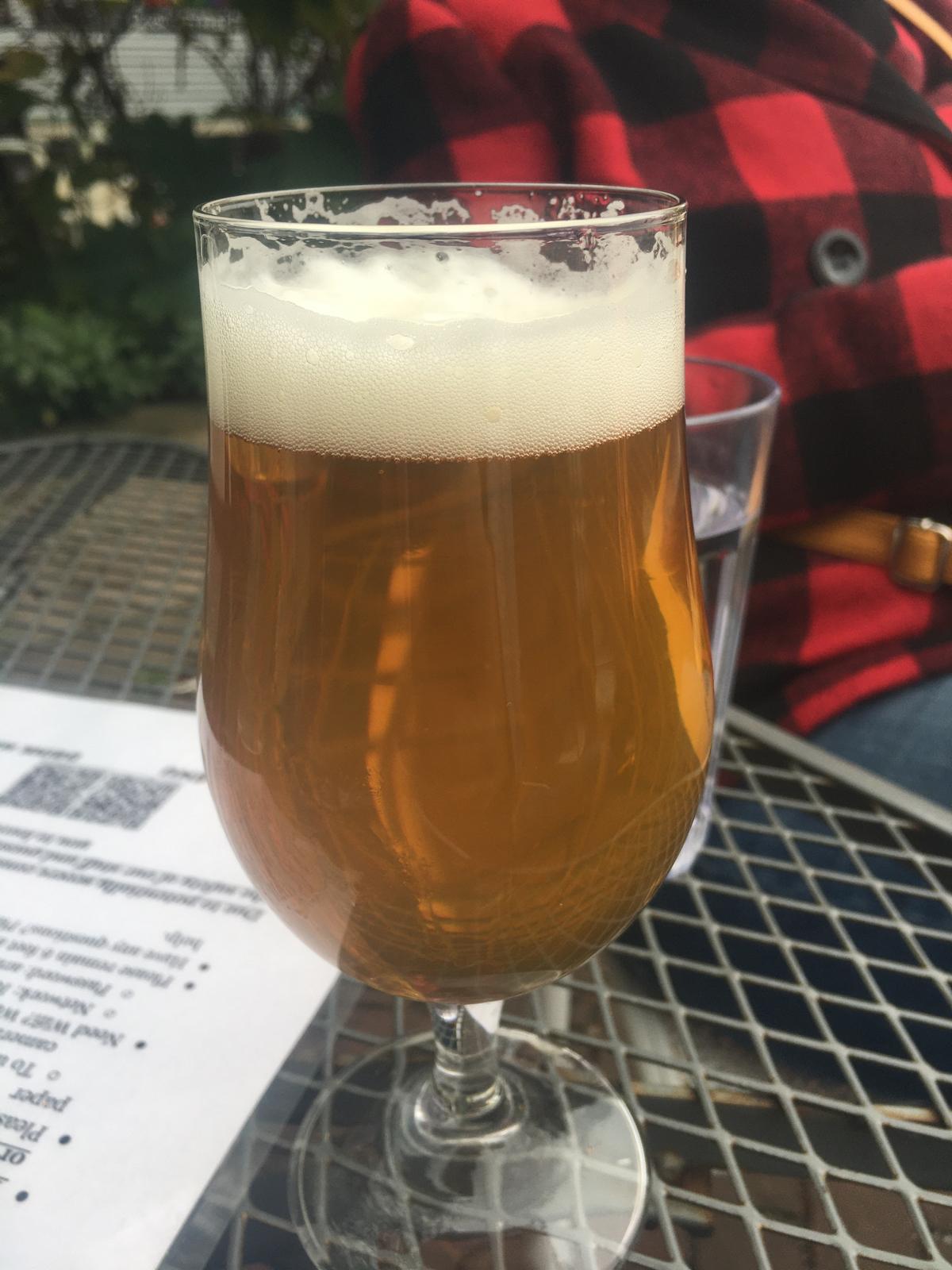 Experimental Dry Hopped Guava Sour
