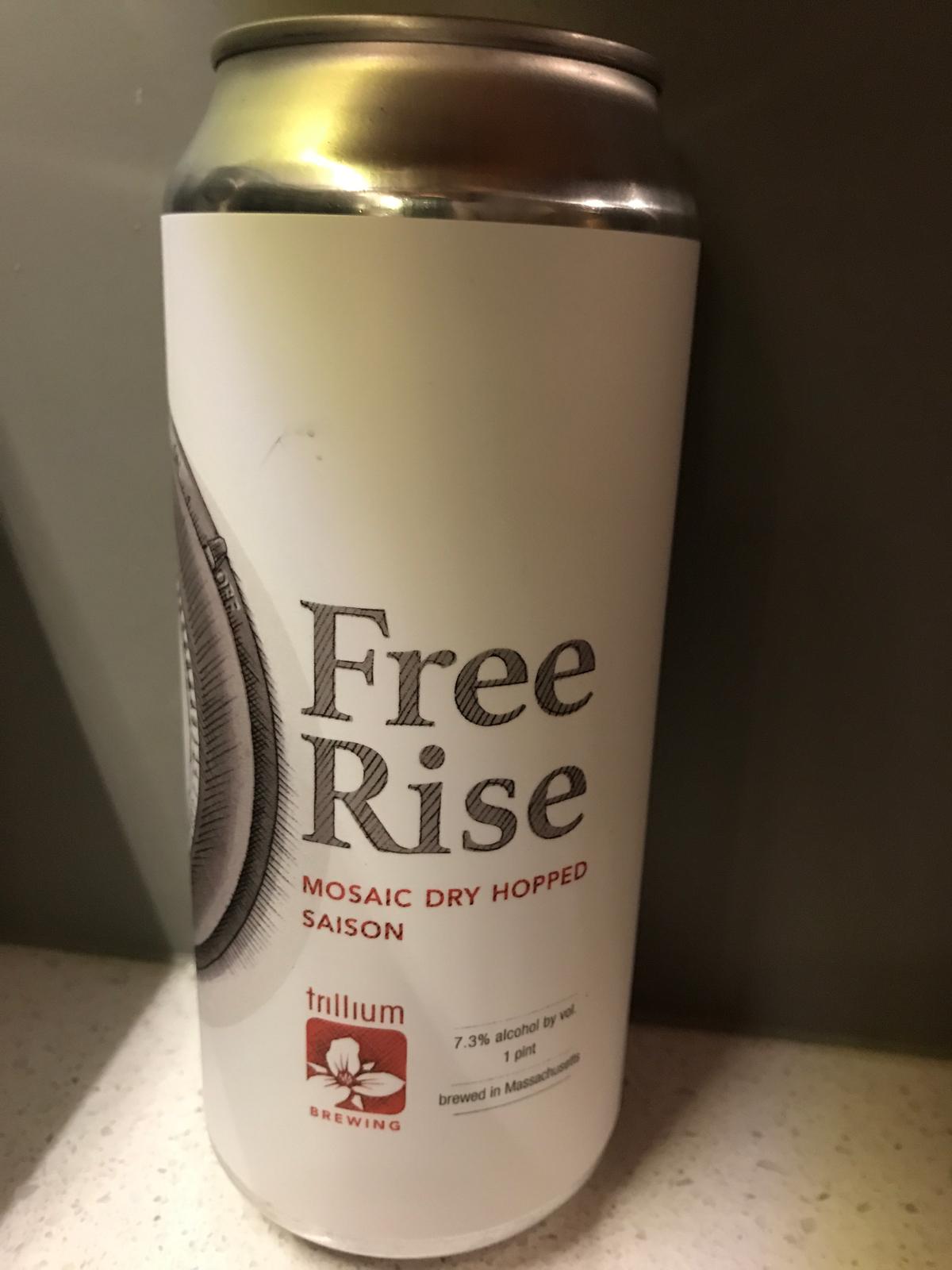 Free Rise - Mosaic Dry Hopped