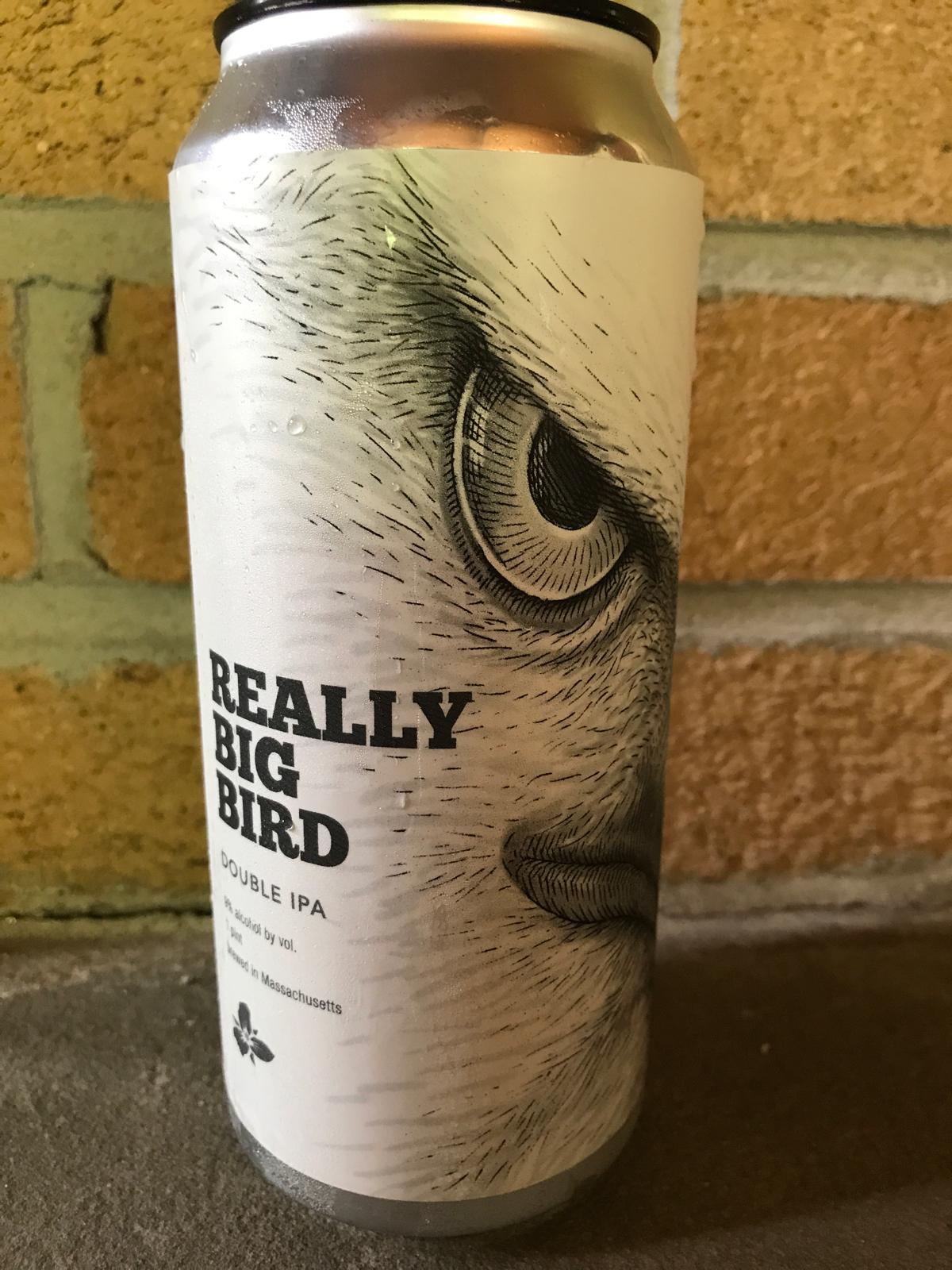 Really Big Bird