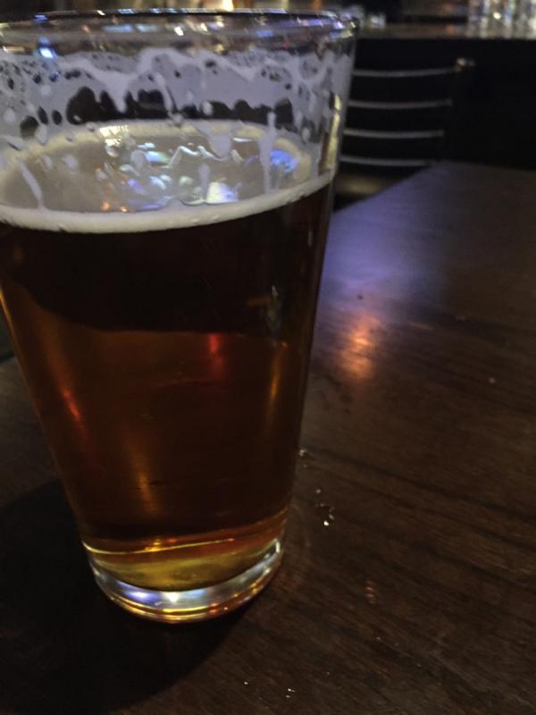 Dirtbag Ales IPA 