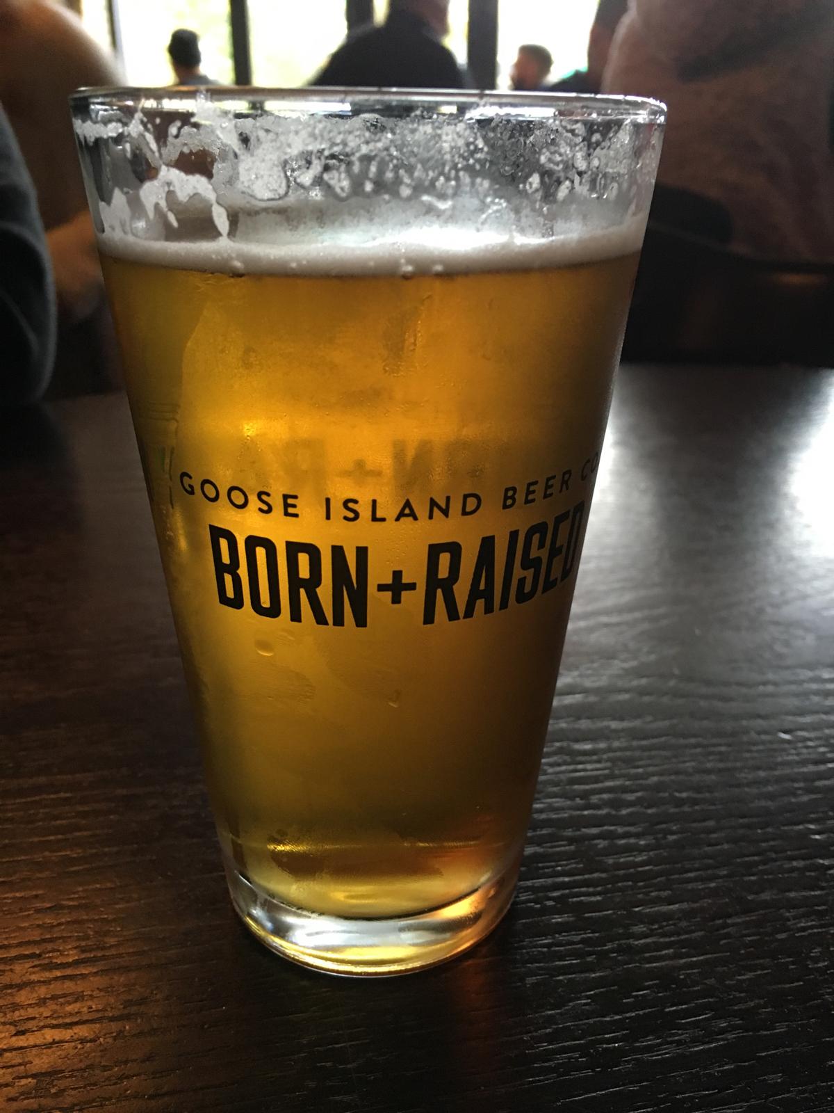 Cream Ale