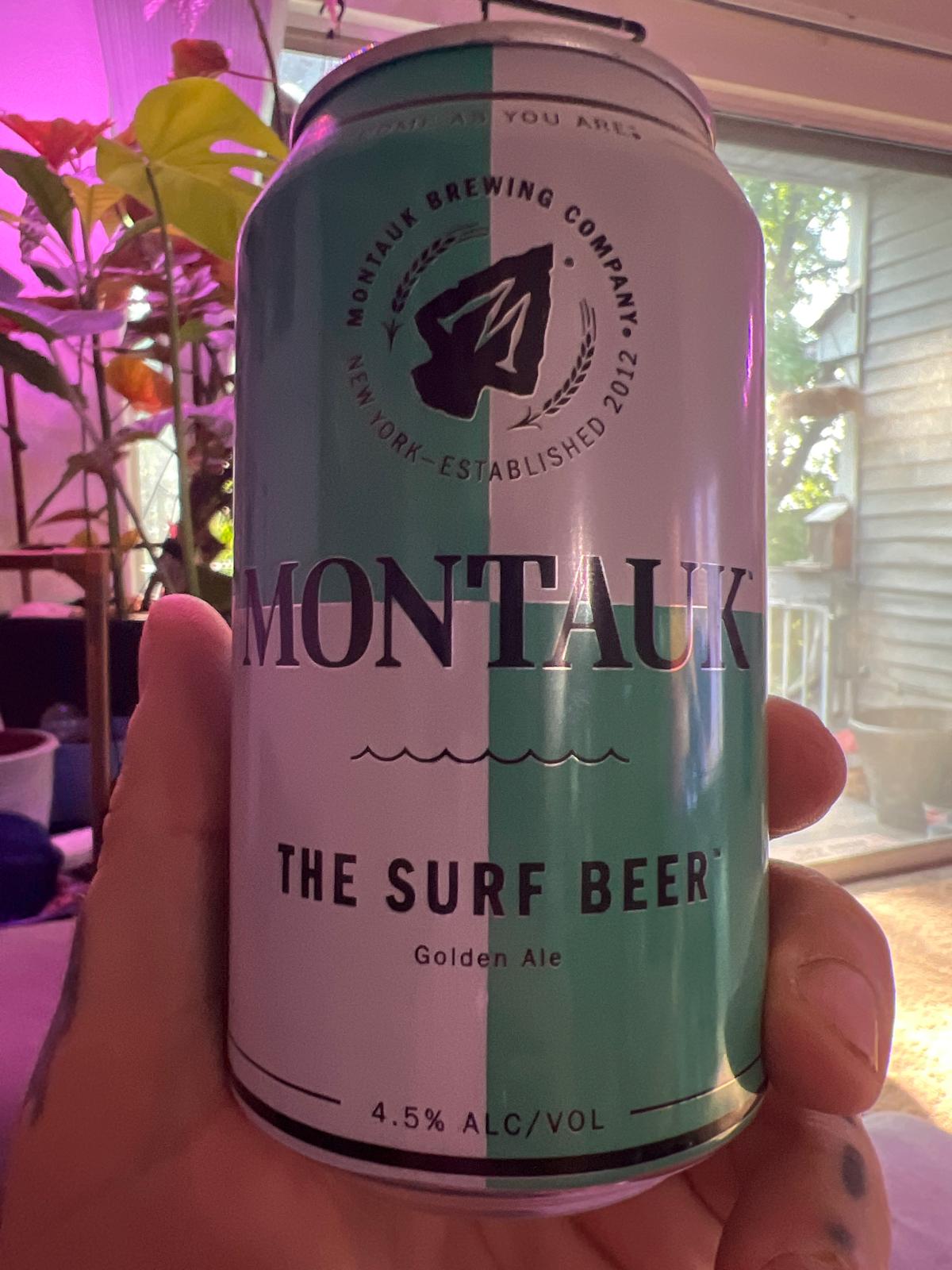 The Surf Beer