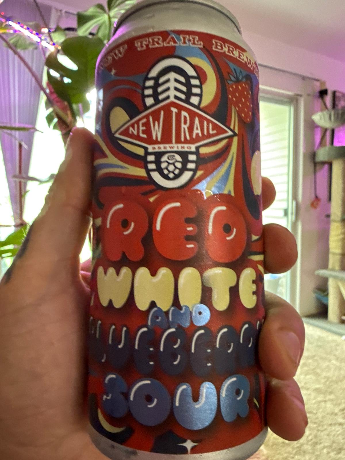 Red White & Blueberry Sour