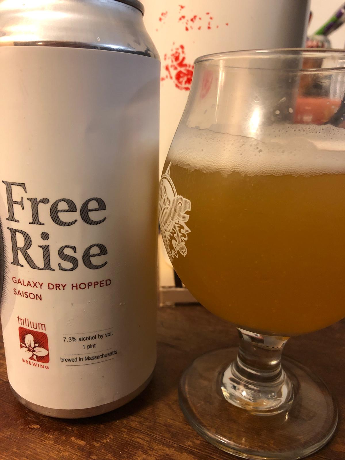 Free Rise - Galaxy Dry Hopped