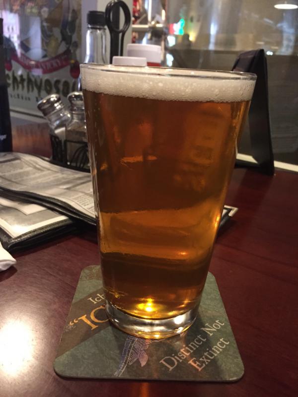 Daypack Session IPA