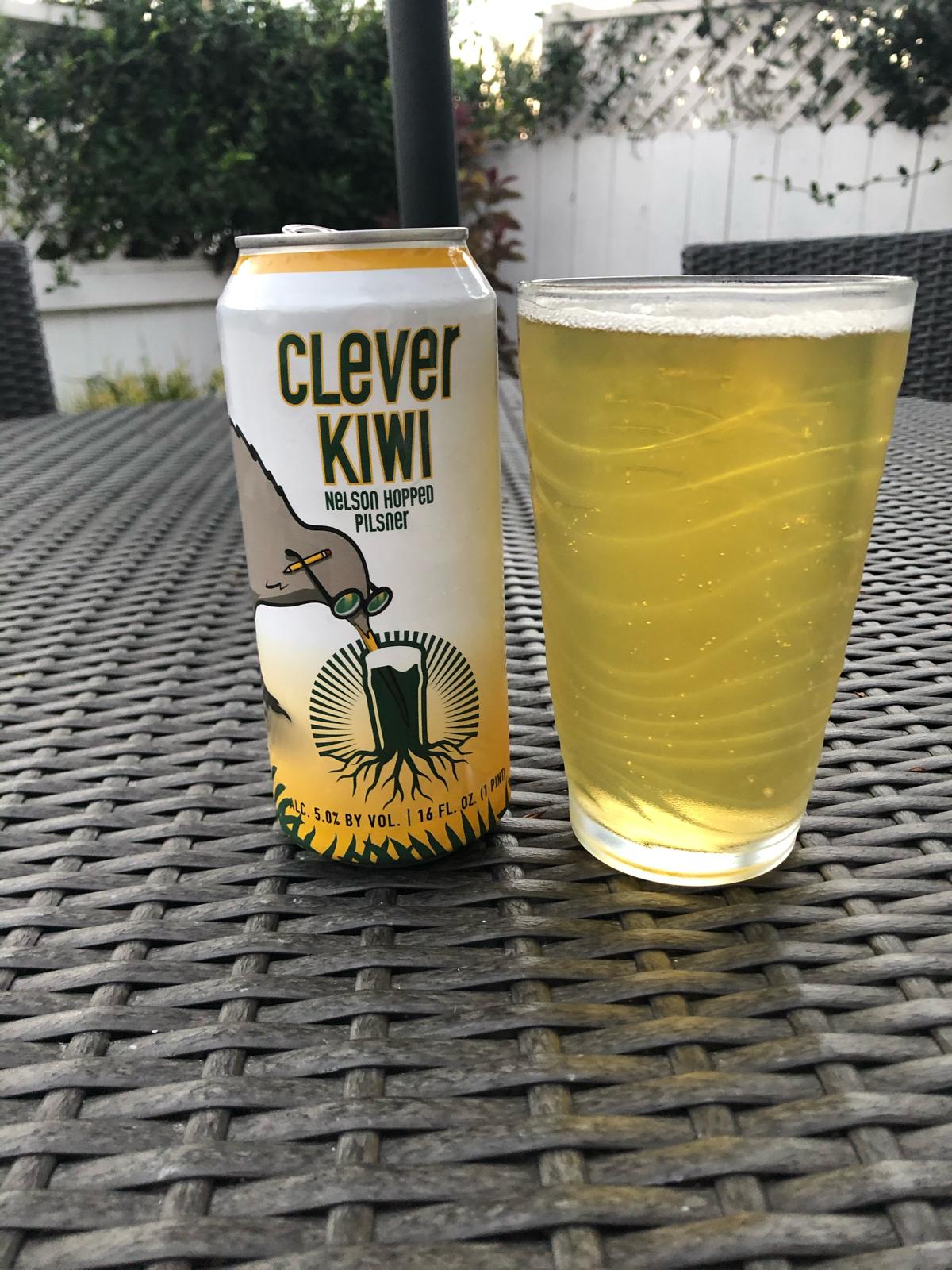 Clever Kiwi