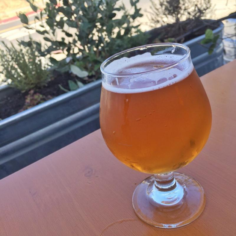 Chisel IPA