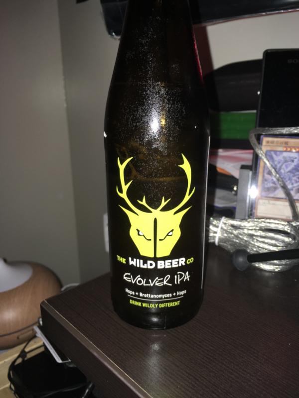 Evolver IPA 