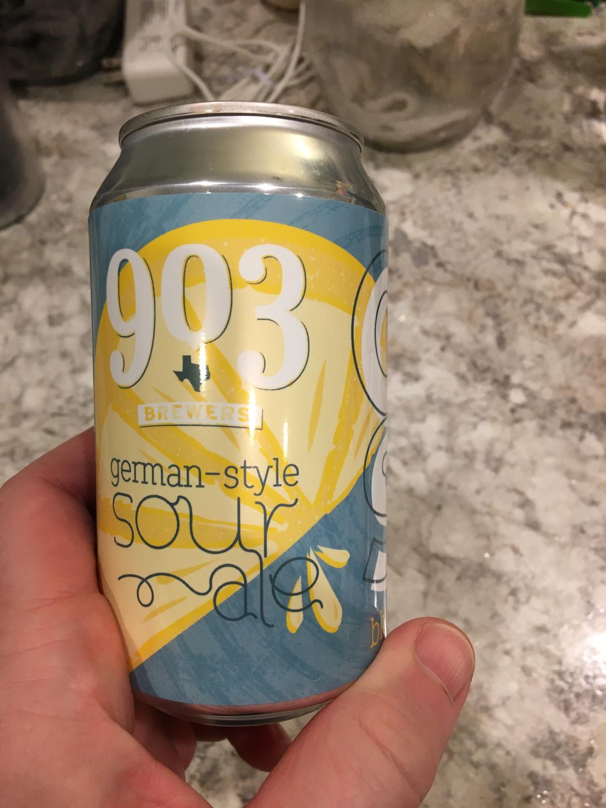 Gose Blueberry Lemon