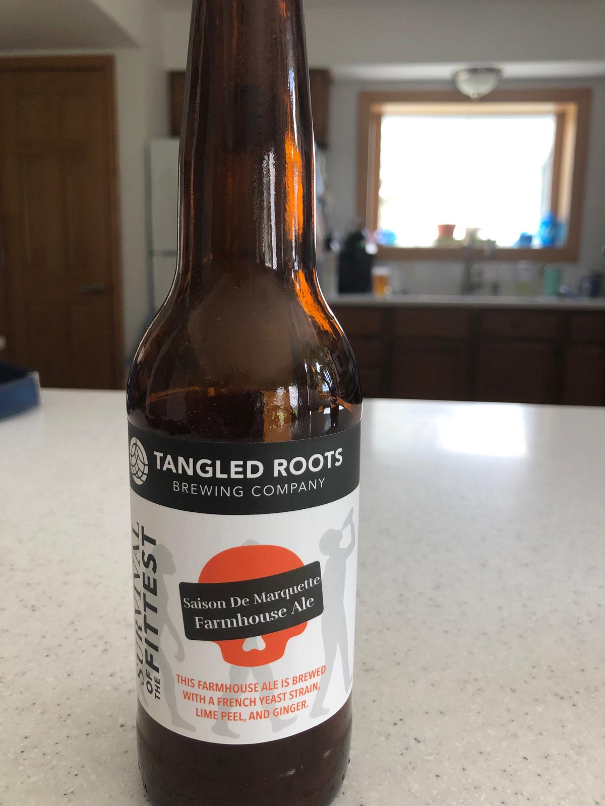 Farmhouse Ale Saison