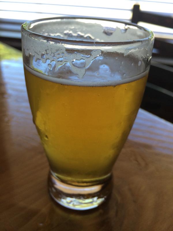 Hopscenity IPA