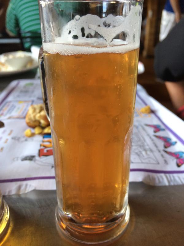 Raspberry Ale